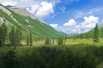 The valley of the Shavla river. Altai Mountains, Russia.