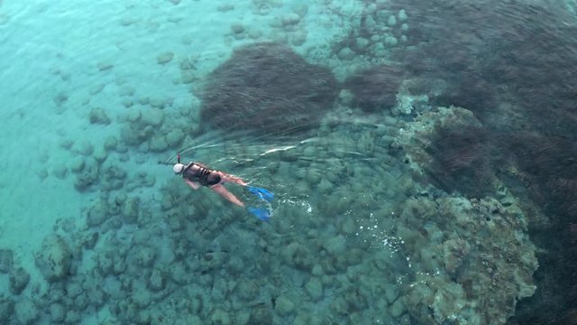 Aerial view of a spear fisherman swims in the sea to catch fish