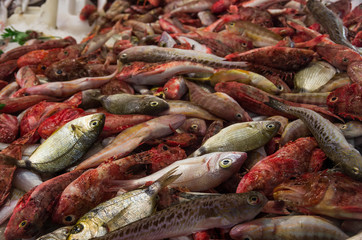 Auf dem Markt, Mallorca, Spanien