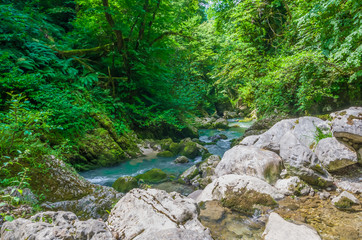River deep in mountain forest. Nature composition.
