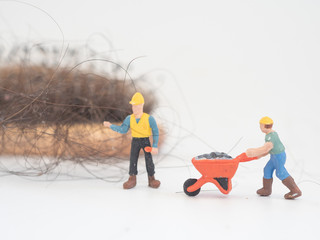 two men  working model inspecting with comb and hair loss problem