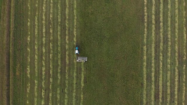 Aerial shot from top to down of tractor cutting grass and moving forward