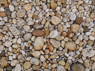 rock stone background,pebbles on the beach