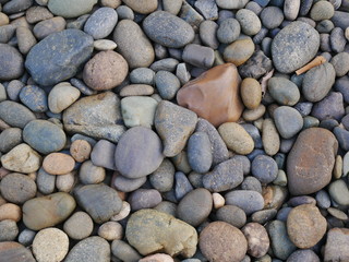 aroma stone floor,pebbles on the beach,rock stone background