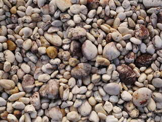 stone garden background,pebbles on the beach