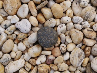rock stone background,pebbles on the beach