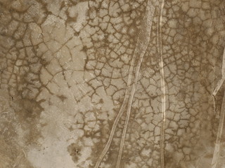 cement wall background,old concrete floor