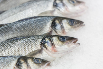 Raw, fresh frozen fish on the supermarket counter.
