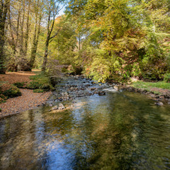 The River Croe at Ardgartan Forest, Loch Long - 234056087