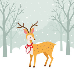 Winter deer on winter forest background