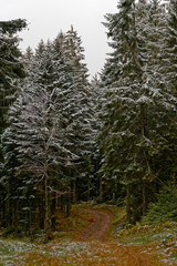 Premi&egrave;res neiges sur les Vosges