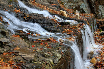 Streams waterfall