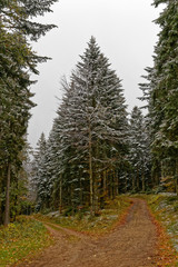 Fototapeta na wymiar Premières neiges sur les Vosges