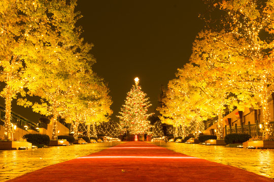 クリスマスツリー