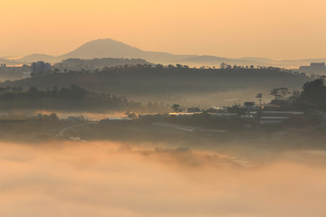 Misty valley in morning sunlight