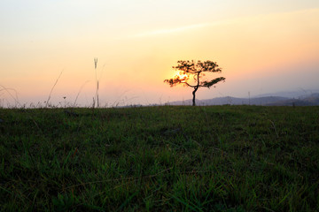 Alone on the hill at dawn