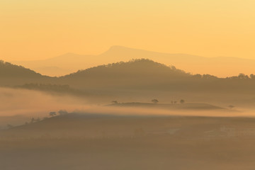 Misty valley in morning sunlight