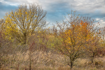 Herbst im Naturschutzgebiet