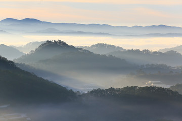 Fantastic foggy forest with pine tree . Beauty world