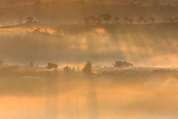 Misty valley in morning sunlight