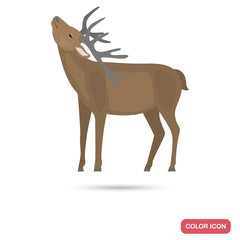 Deer color flat icon for web and mobile design