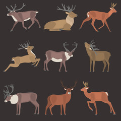 Deer in various poses color flat icons set