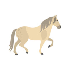 Fototapeta na wymiar Andalusian horse color vector icon. Flat design