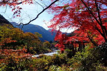 御岳渓谷の紅葉