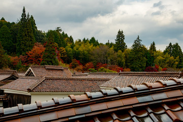 ベンガラ色の瓦が連なる屋根と秋の紅葉のある風景
