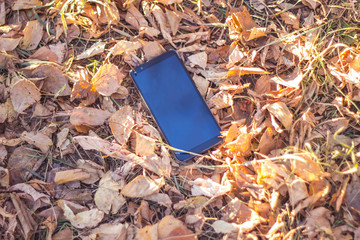The smartphone lying on the ground in the fall on the yellow leaves