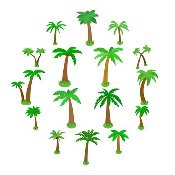 Palm tree icons set in isometric 3d style isolated on white