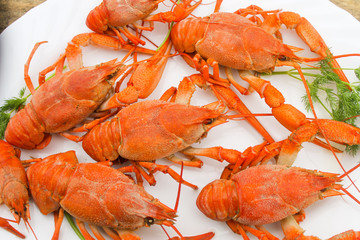 Cooked juicy red crayfish in a plate on a wooden table with a dill