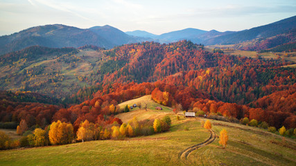 Beautiful mountain autumn landscape with meadow and colorful forest - 234064447