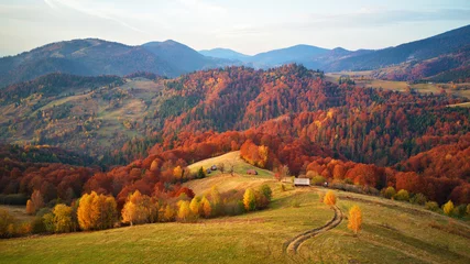 Fototapeten Schöne Bergherbstlandschaft mit Wiese und buntem Wald © NemanTraveler