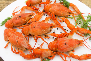Cooked juicy red crayfish in a plate on a wooden table with a dill