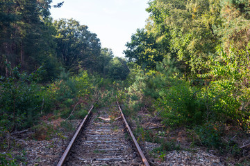 Fototapeta premium Remains of discontinued railway in Meinweg National Park; Limburg, Netherlands