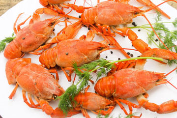 Cooked juicy red crayfish in a plate on a wooden table with a dill