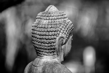 Budda von hinten