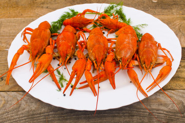 Cooked juicy red crayfish in a plate on a wooden table with a dill