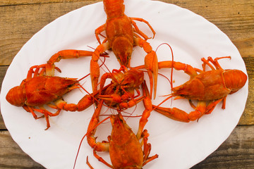 Cooked juicy red crayfish in a plate on a wooden table with a dill