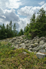 Obraz premium Lanschaftsaufnahmen aus den Vogesen im Spätsommer in Frankreich