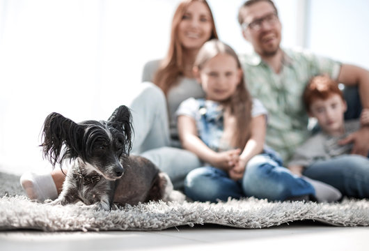 background image of happy family with pet