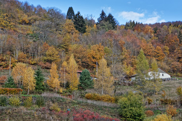 Les Vosges en automne