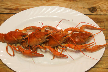 Cooked juicy red crayfish in a plate on a wooden table with