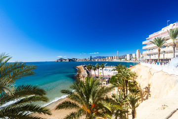 Poniente beach with palm trees, the port, skyscrapers and mountains , Benidorm Spain