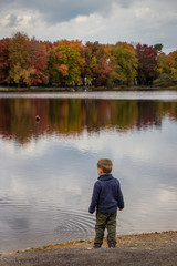 toddler boy standing throwing rocks in pond in the autumn