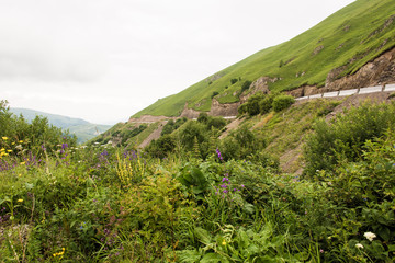 Fototapeta premium Mountains of Chechnya, Chechnya