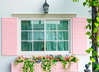 Windows and flowers of a pink background
