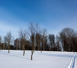 Winter landscape in the park Morning ski run on white snow against the blue sky