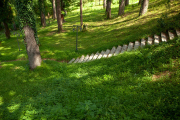 Sidewalk stairs stone pine trees middle of the forest, Design for the background